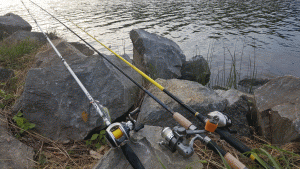 Selecting Fishing Rods