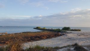 Shore Fishing Key West