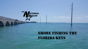 Shore Fishing the Florida Keys