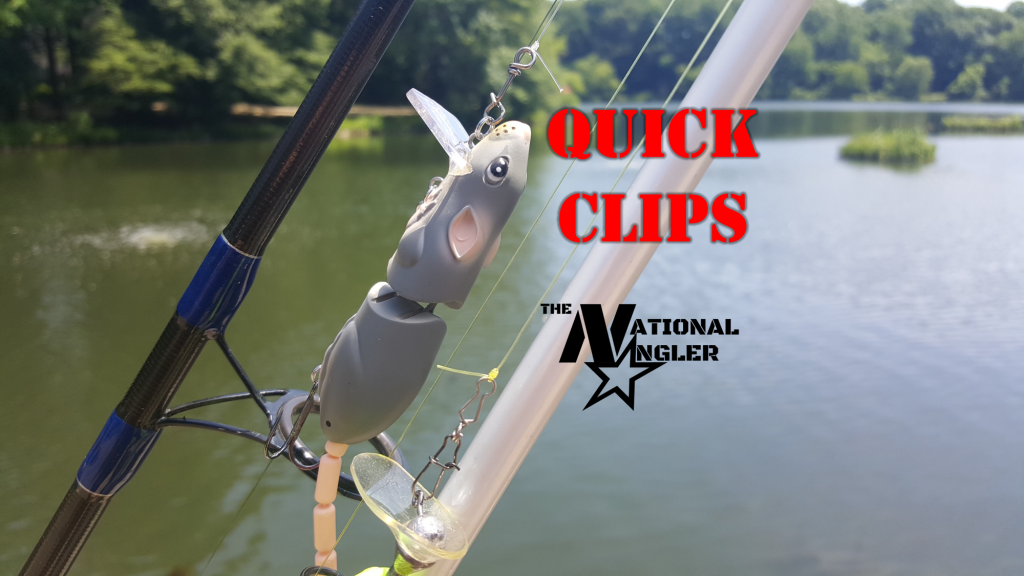 Quick Clips Terminal Tackle