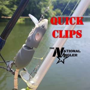 Quick Clips Terminal Tackle