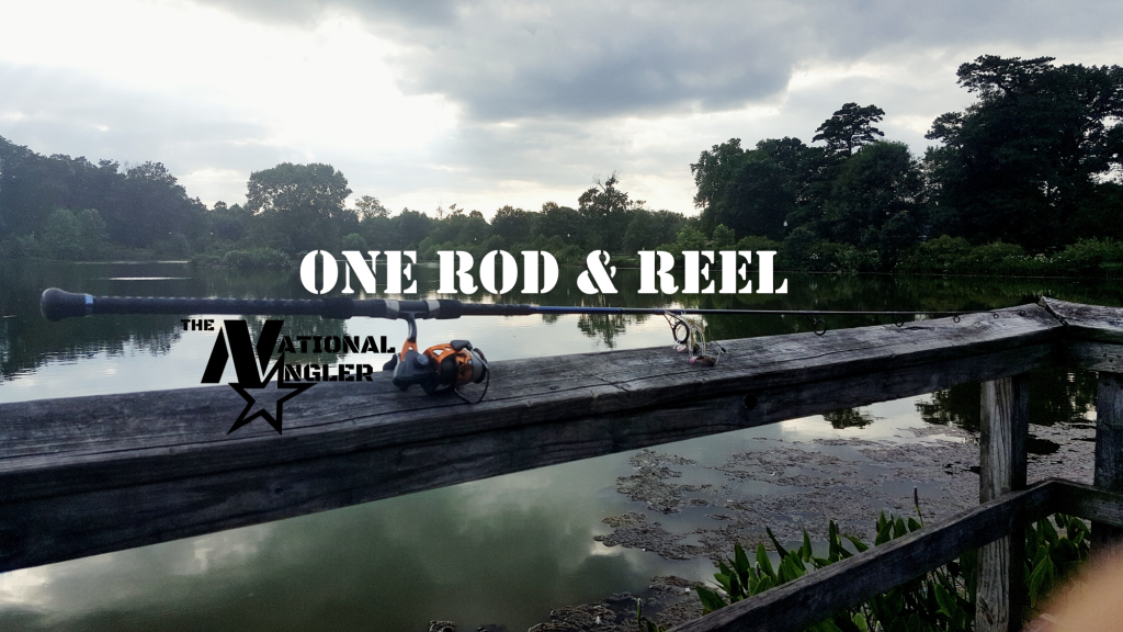 ONE ROD & REEL