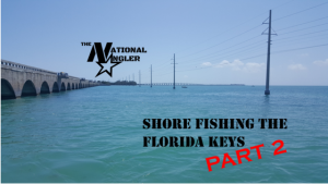 Shore Fishing Florida Keys Part 2