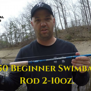 $50 Beginner Swimbait Rod