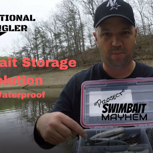 Swimbait Storage Solution