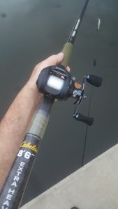 Cabela's Predator Musky Rod