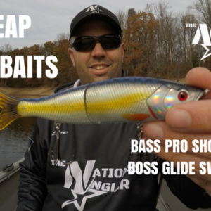 Bass Pro Shops XPS Boss Glide Swimbait